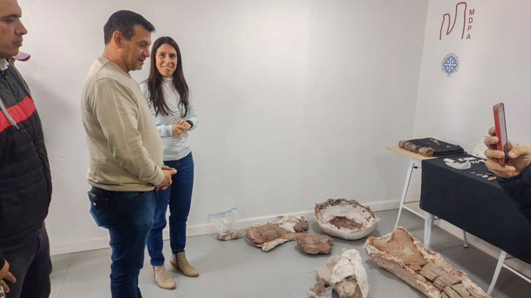 El Museo de Añelo recibió material arqueológico y paleontológico